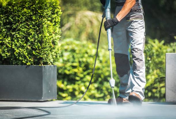 Earlysville, VA Pressure Washing Services Company