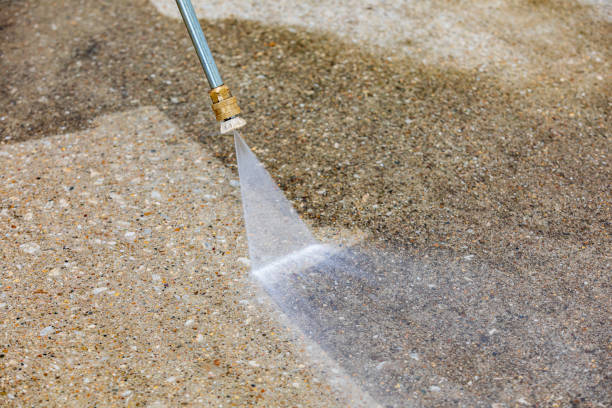 Best Building Exterior Washing  in Earlysville, VA