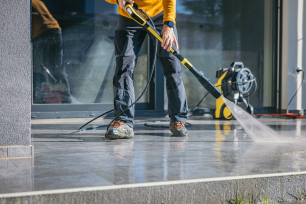 Best Roof Washing  in Earlysville, VA